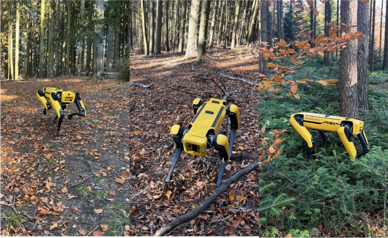 Paper evaluating three different robots in the forest