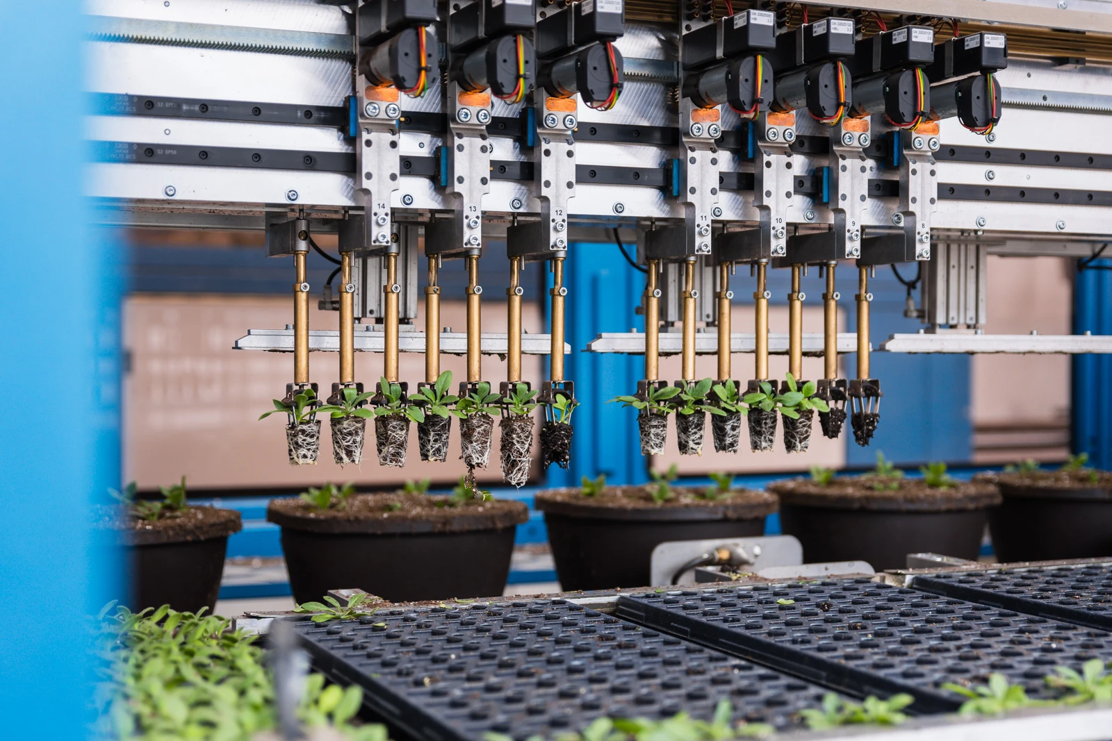 TTA-ISO forestry nursery equipment