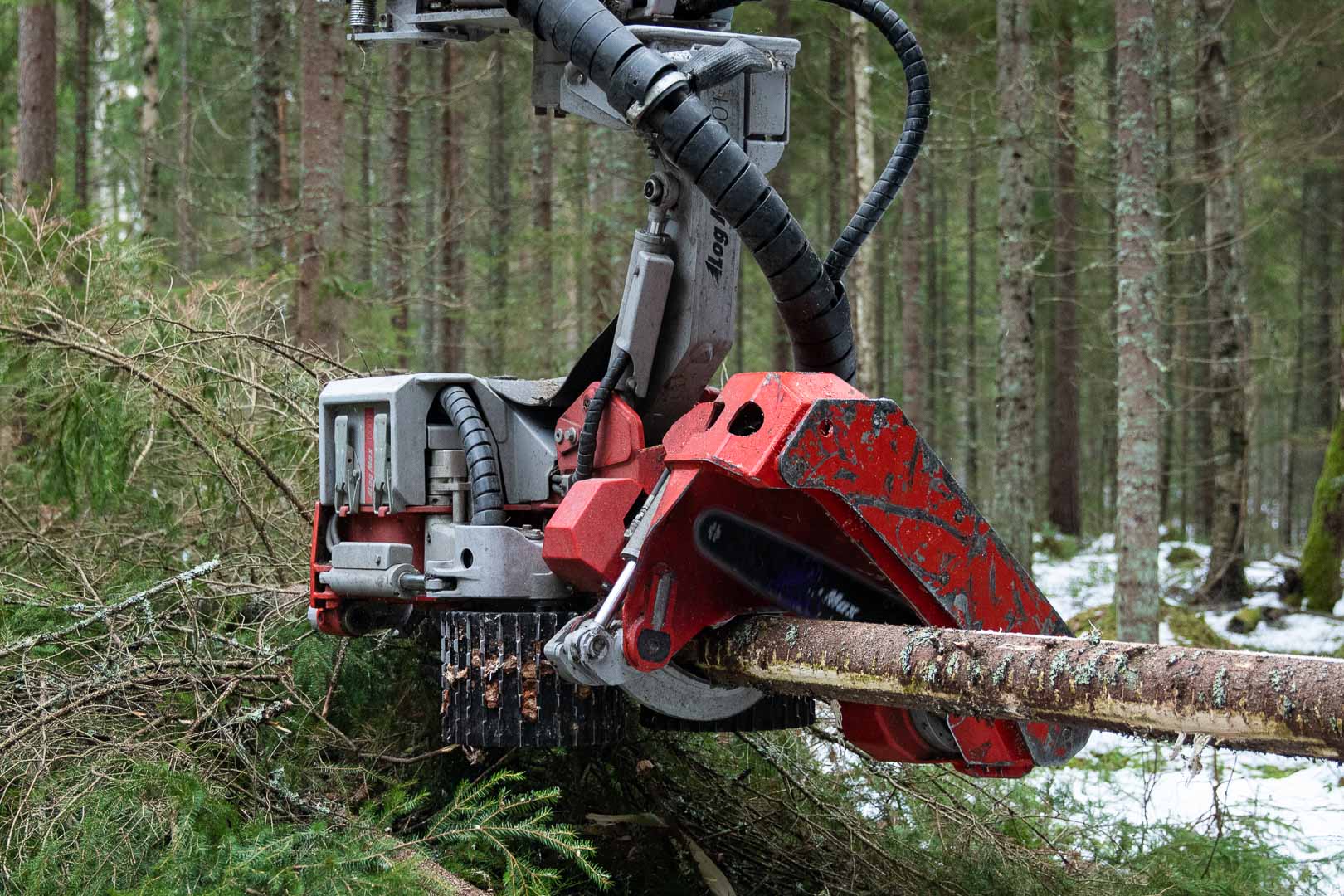 Log Max Harvester Heads