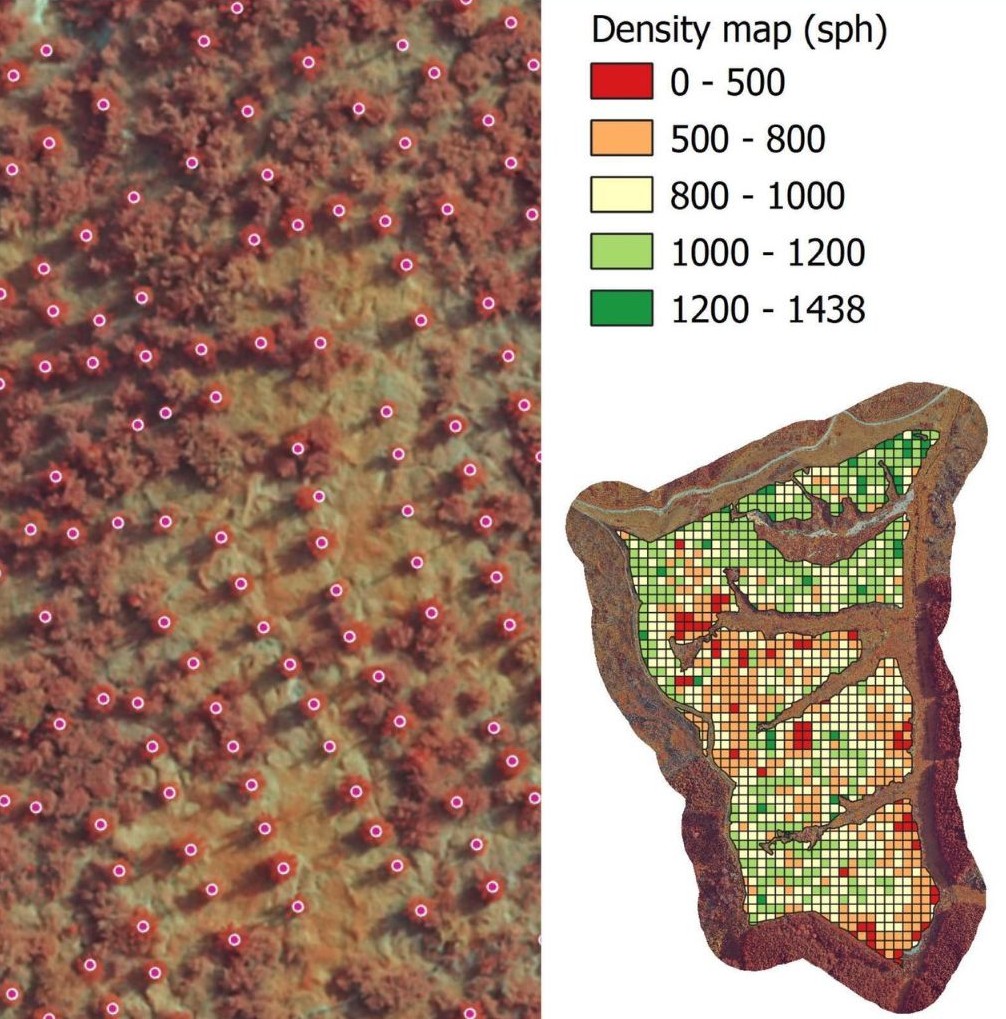 SKYLAB remote sensing & AI for forest health monitoring