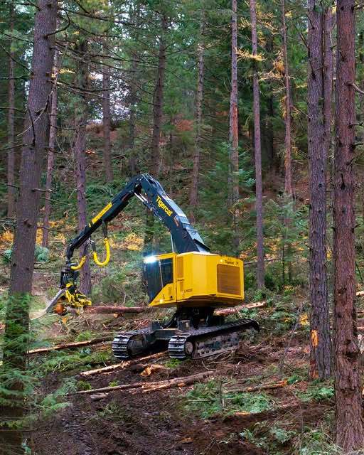 Tigercat harvesting heads