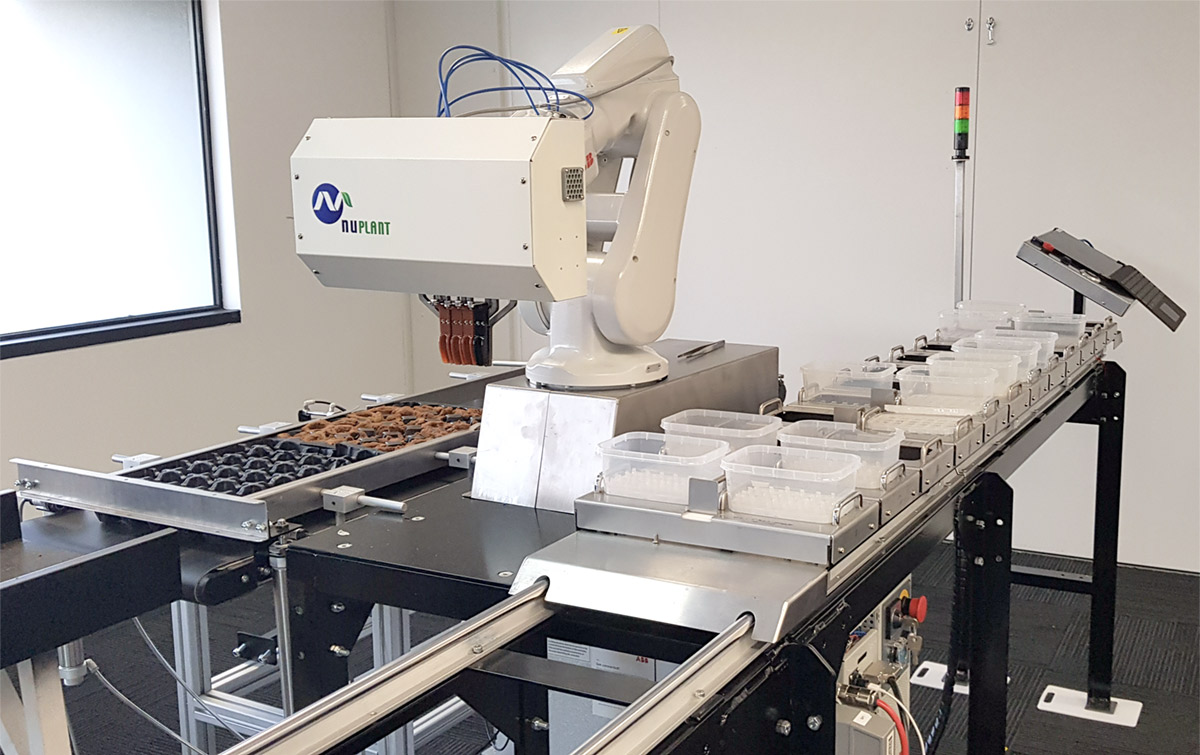 Janus ex vitro transplanter