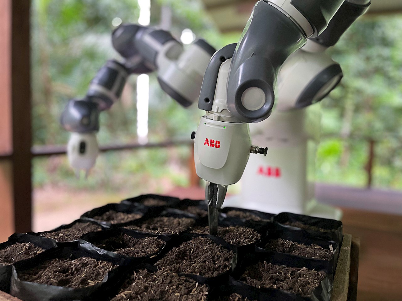 Dual-arm robot for nursery tree planting in Amazon