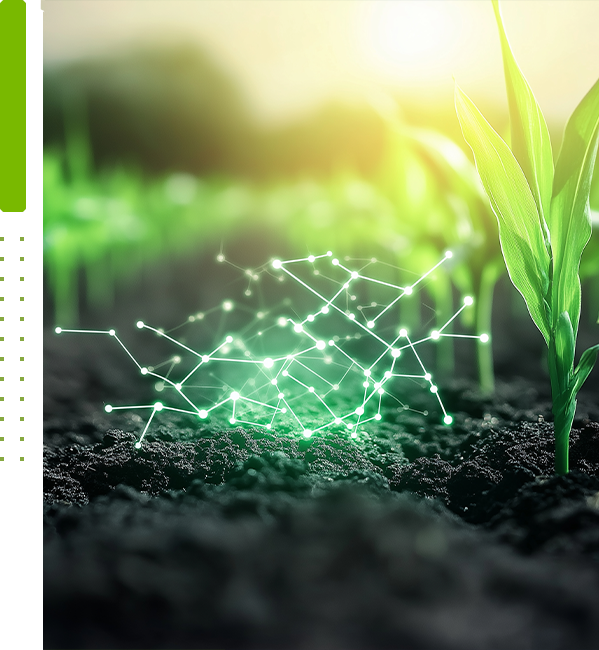 UAV-based pest detection
