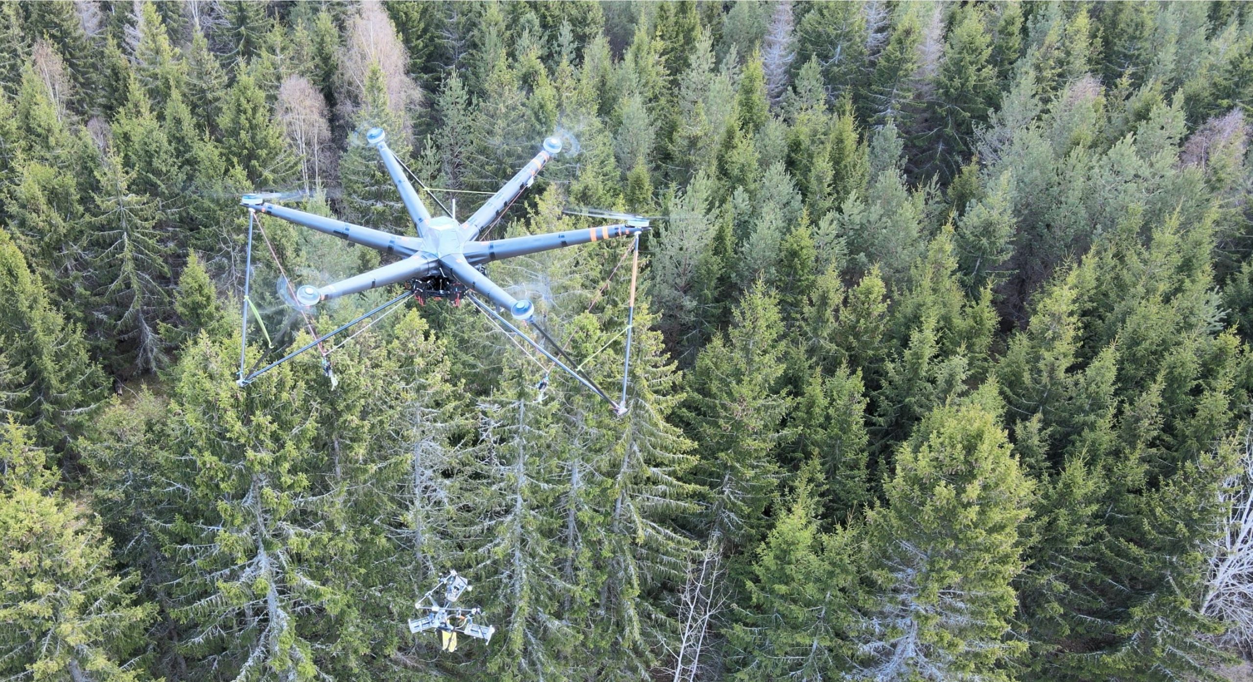 UAV-based tree thinning