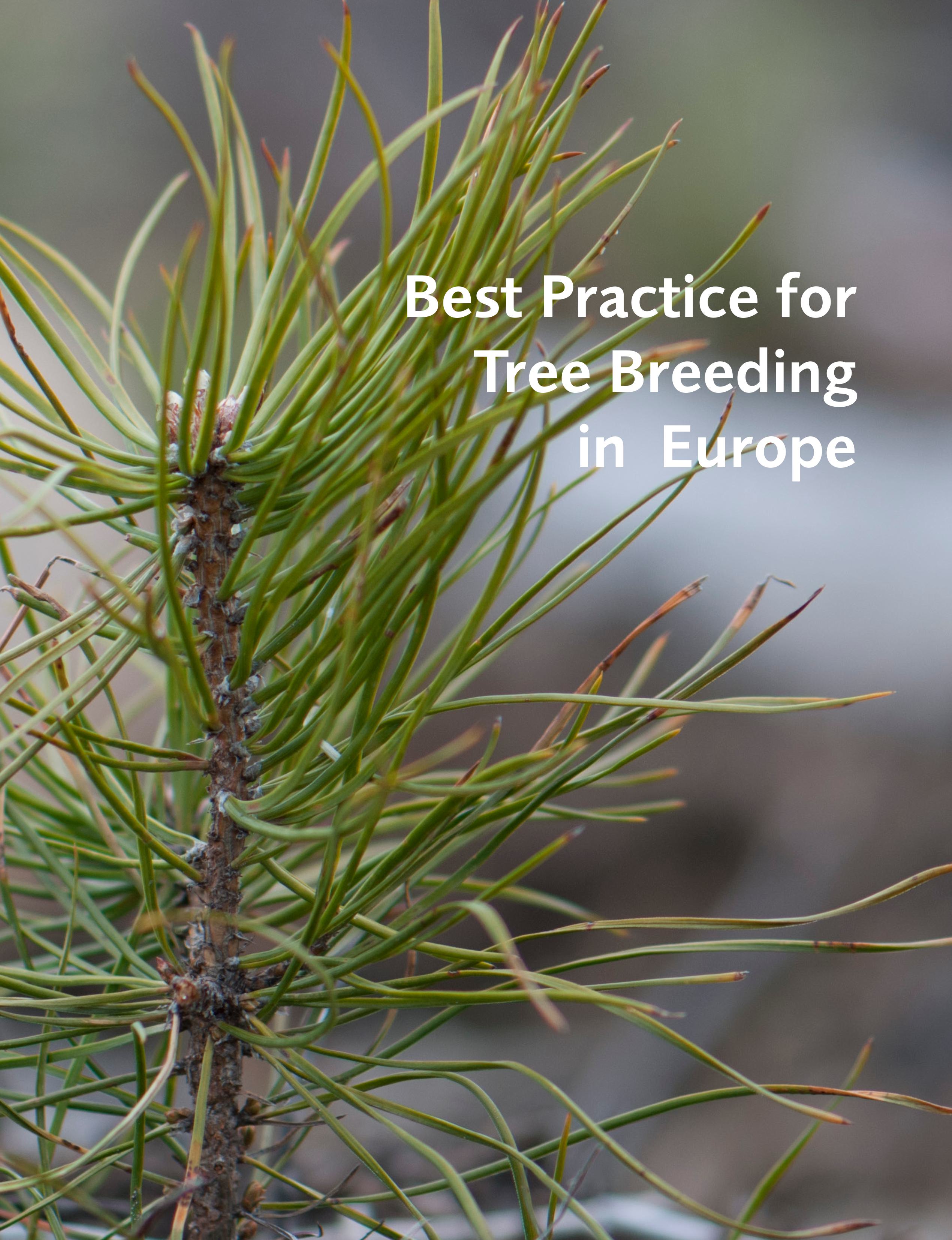 Best practice for tree breeding in Europe