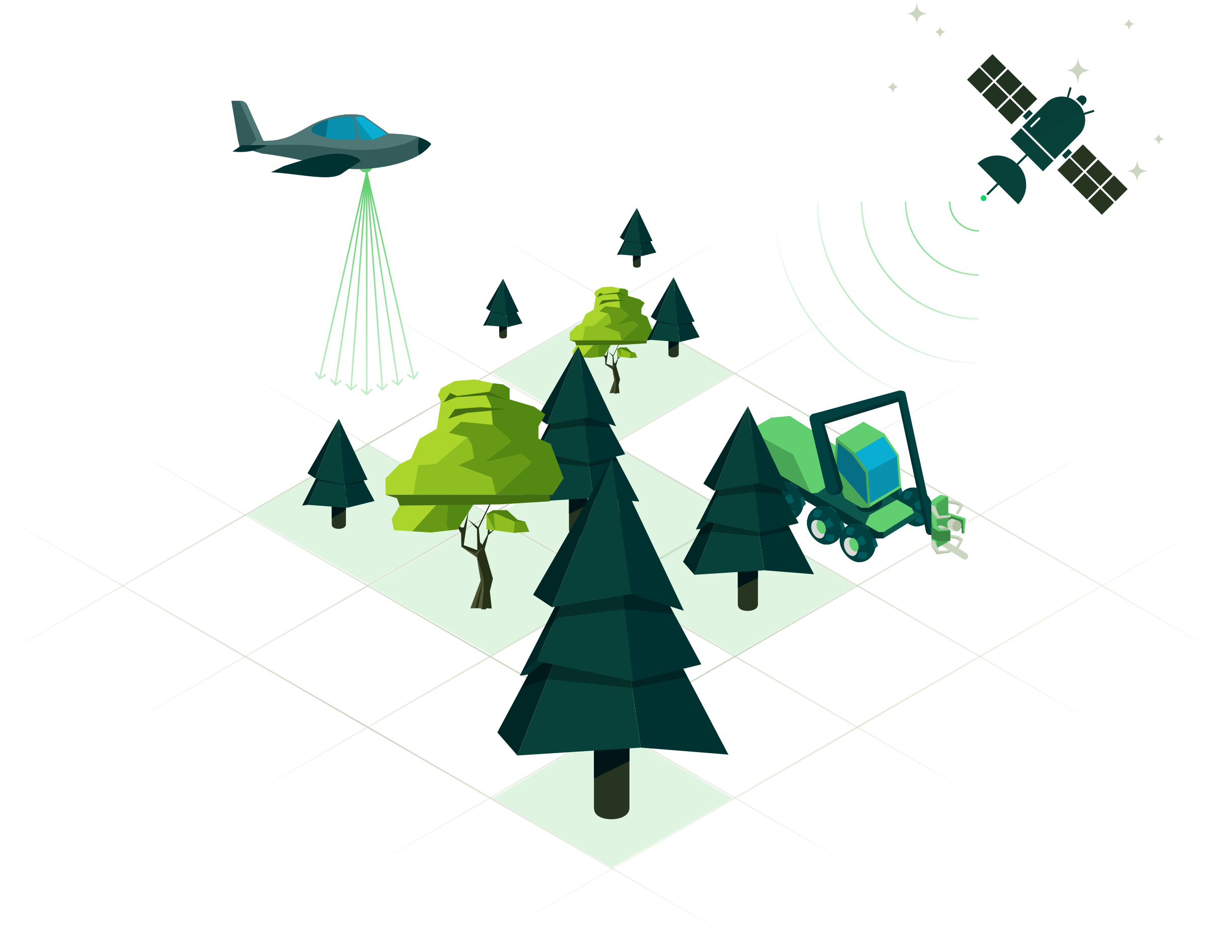LINDA - AI forest analytics