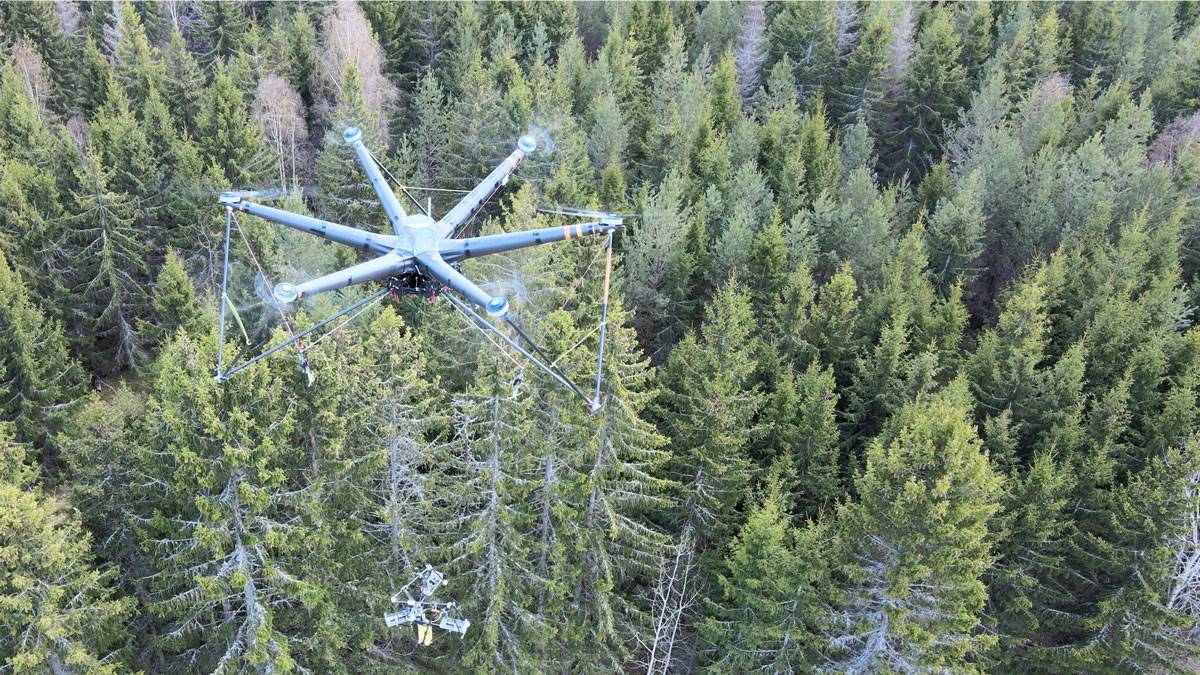 Potential of UAV's for forest thinning