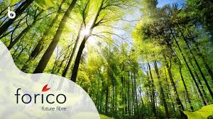 Remote high resolution data acquisition for forestry
