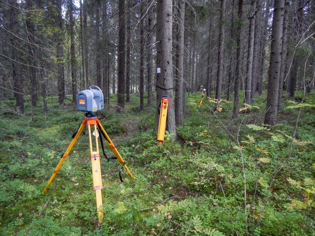 Multiscan photogrammetry & LiDAR forestry scan