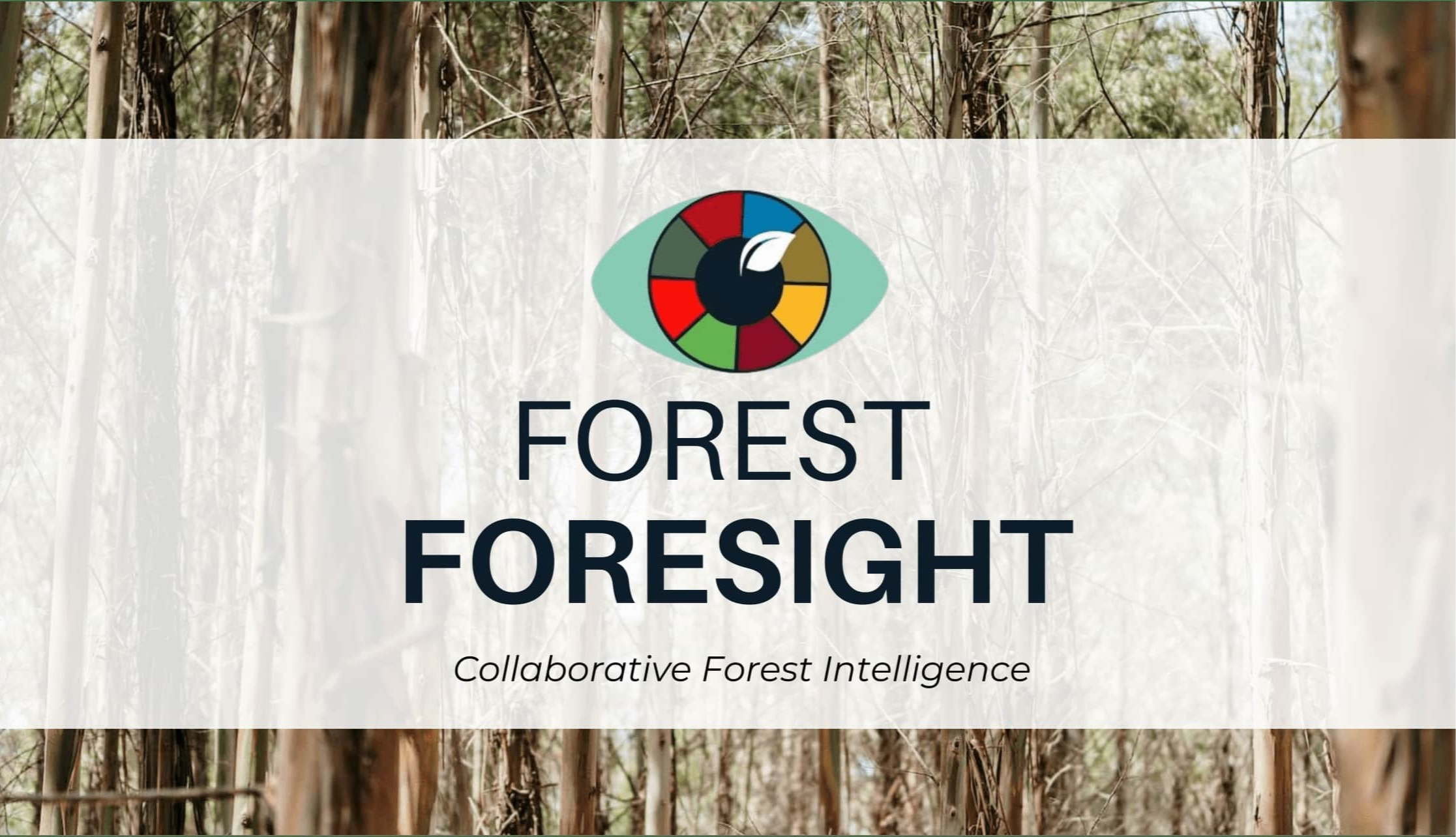 Project Forest Foresight: Enhancing Tasmania's fire & forest management through collaborative technology insights