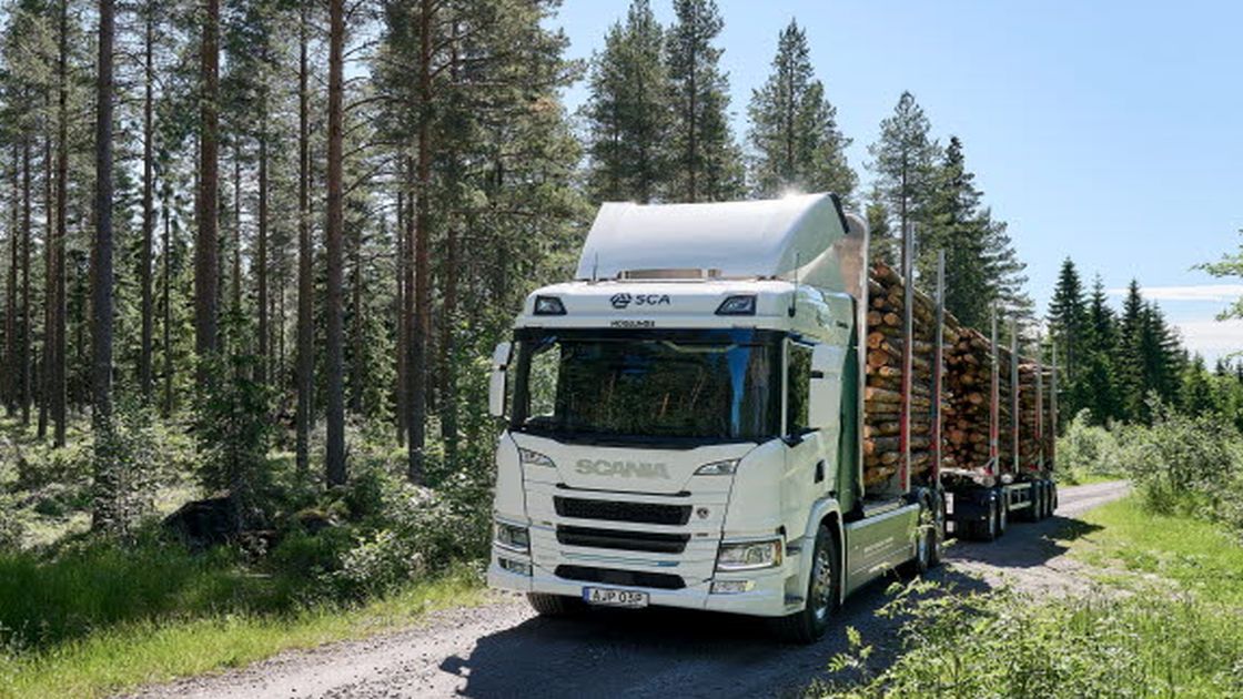 TREE Project: Transition to Efficient Electrified forestry transport