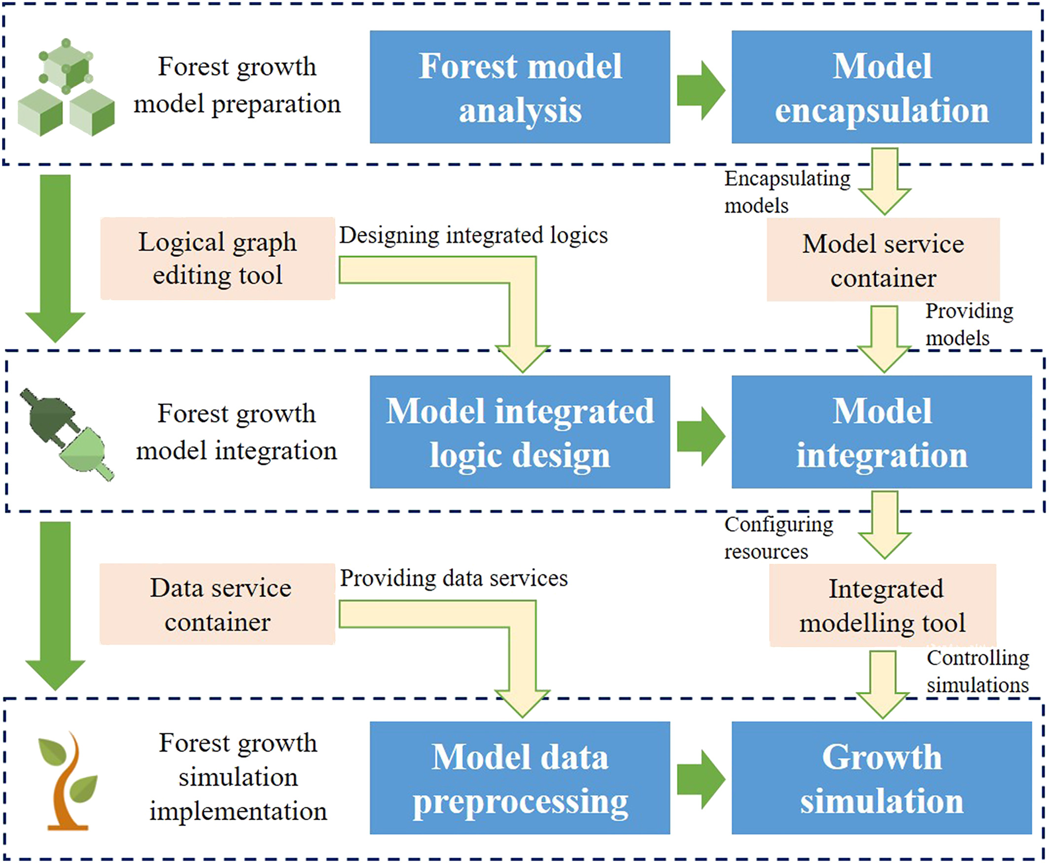 Web-based forest growth model