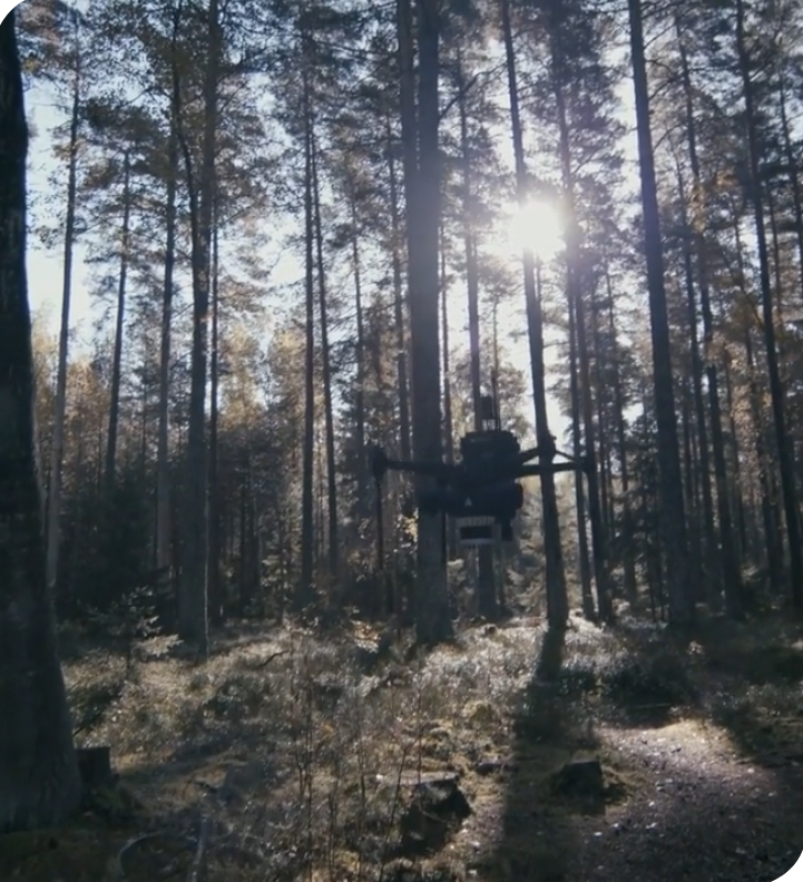 autonomous drone & end-to-end automatic forestry inventory system