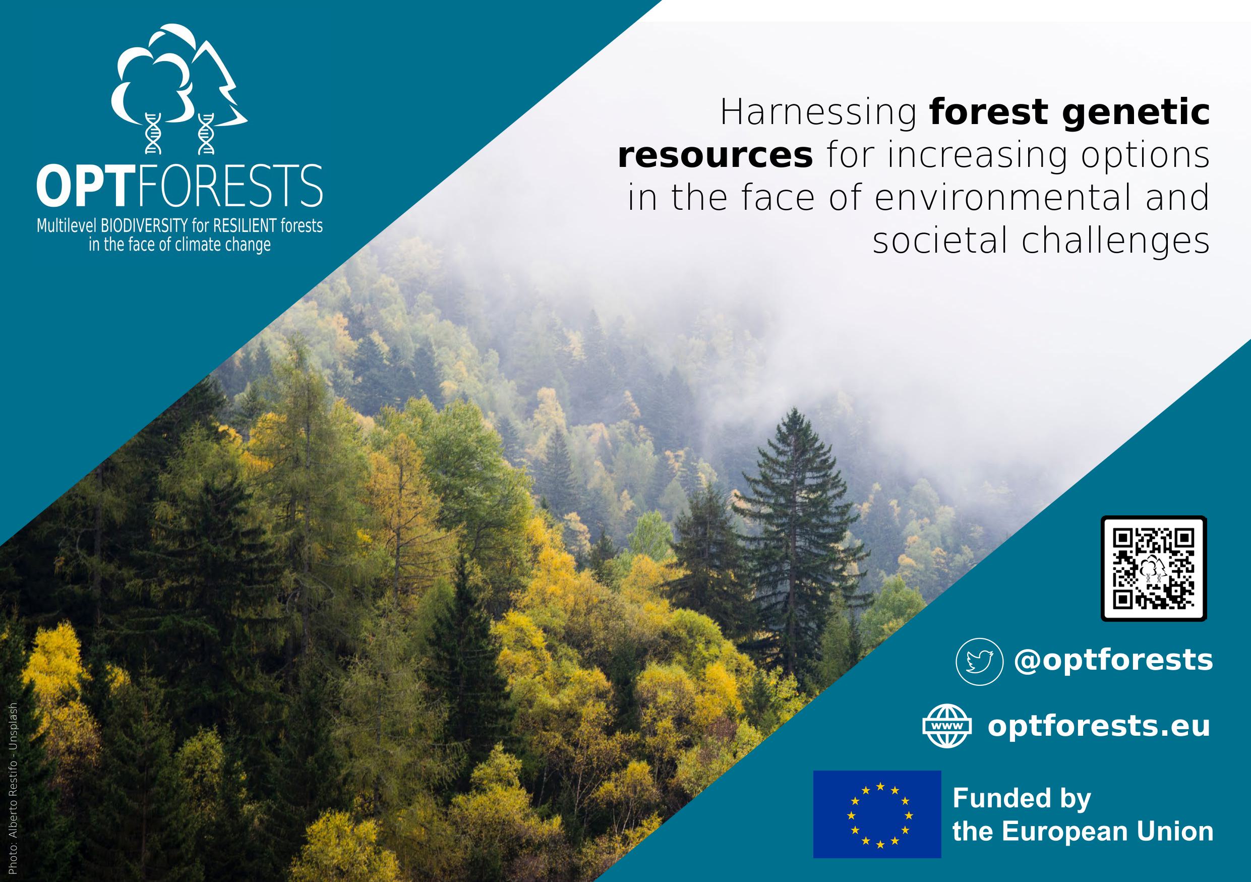 Forest Growth Model (MOTTI)
