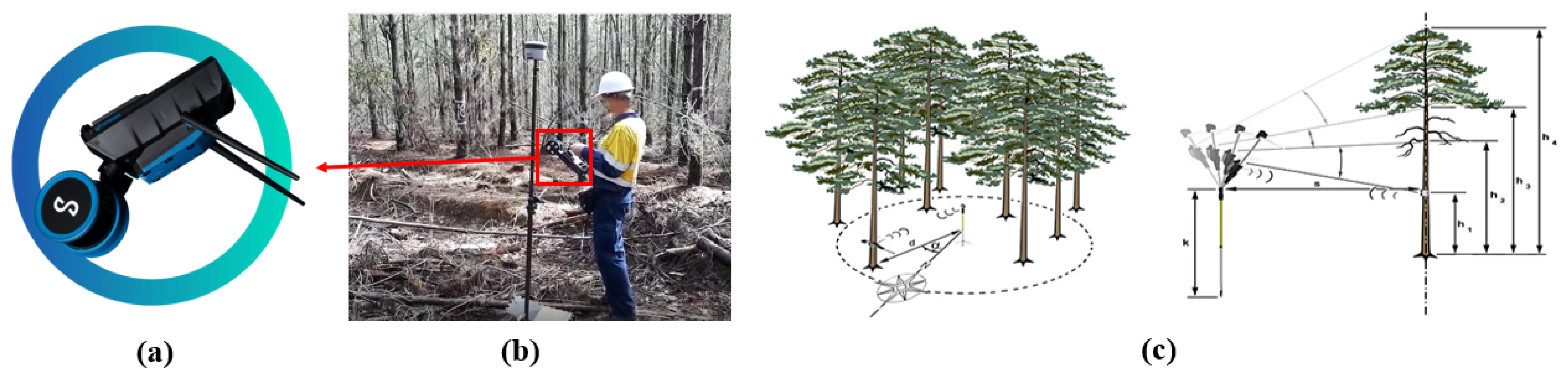 Forest Stem Extraction and Modeling (FoSEM): A LiDAR-Based Framework for Accurate Tree Stem Extraction and Modeling in Radiata Pine Plantations