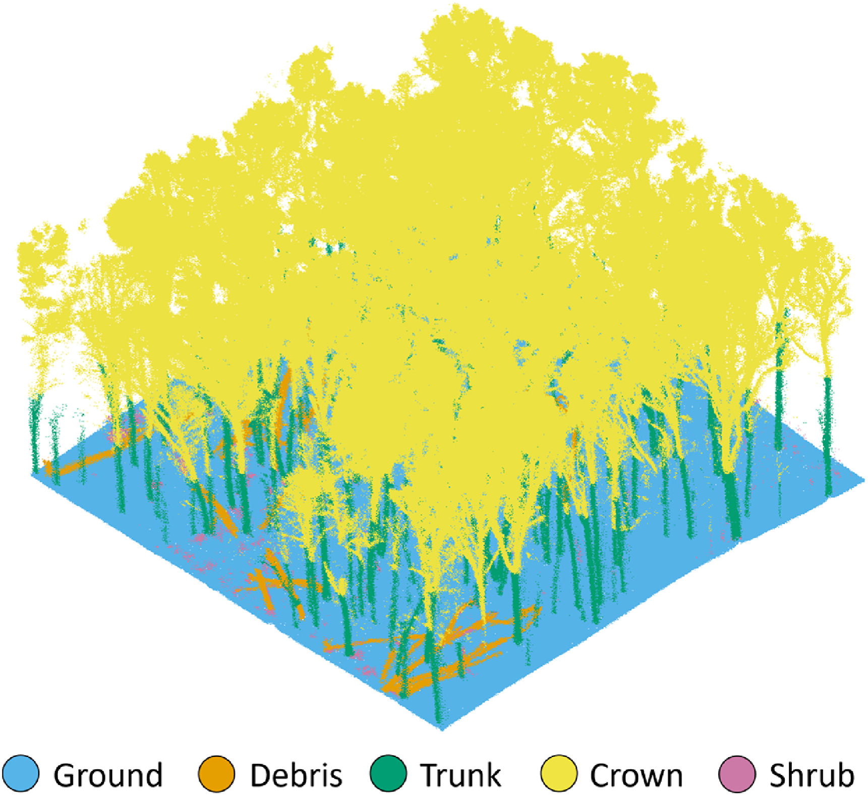 Framework to process LiDAR point clouds into meaningful classes for a forest inventory