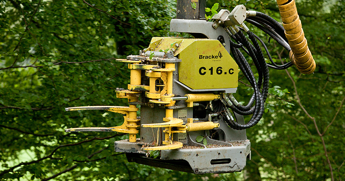 Harvester head