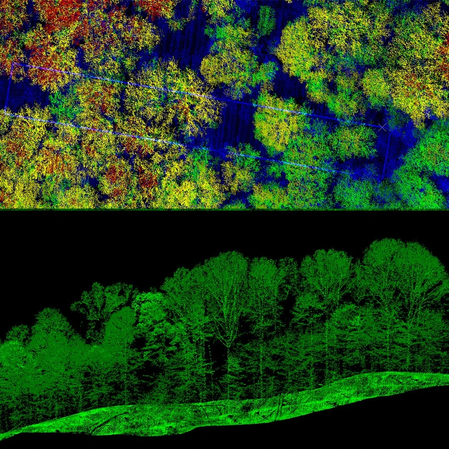 LiDAR inventories