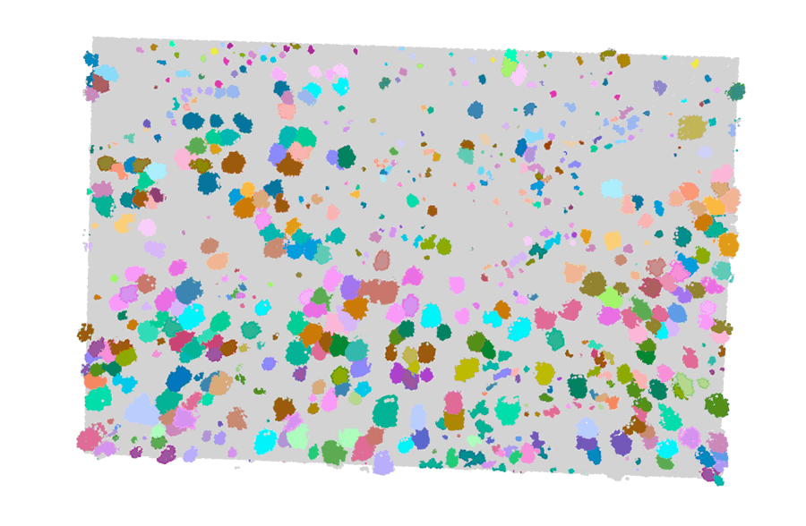 Mapping forests using RS