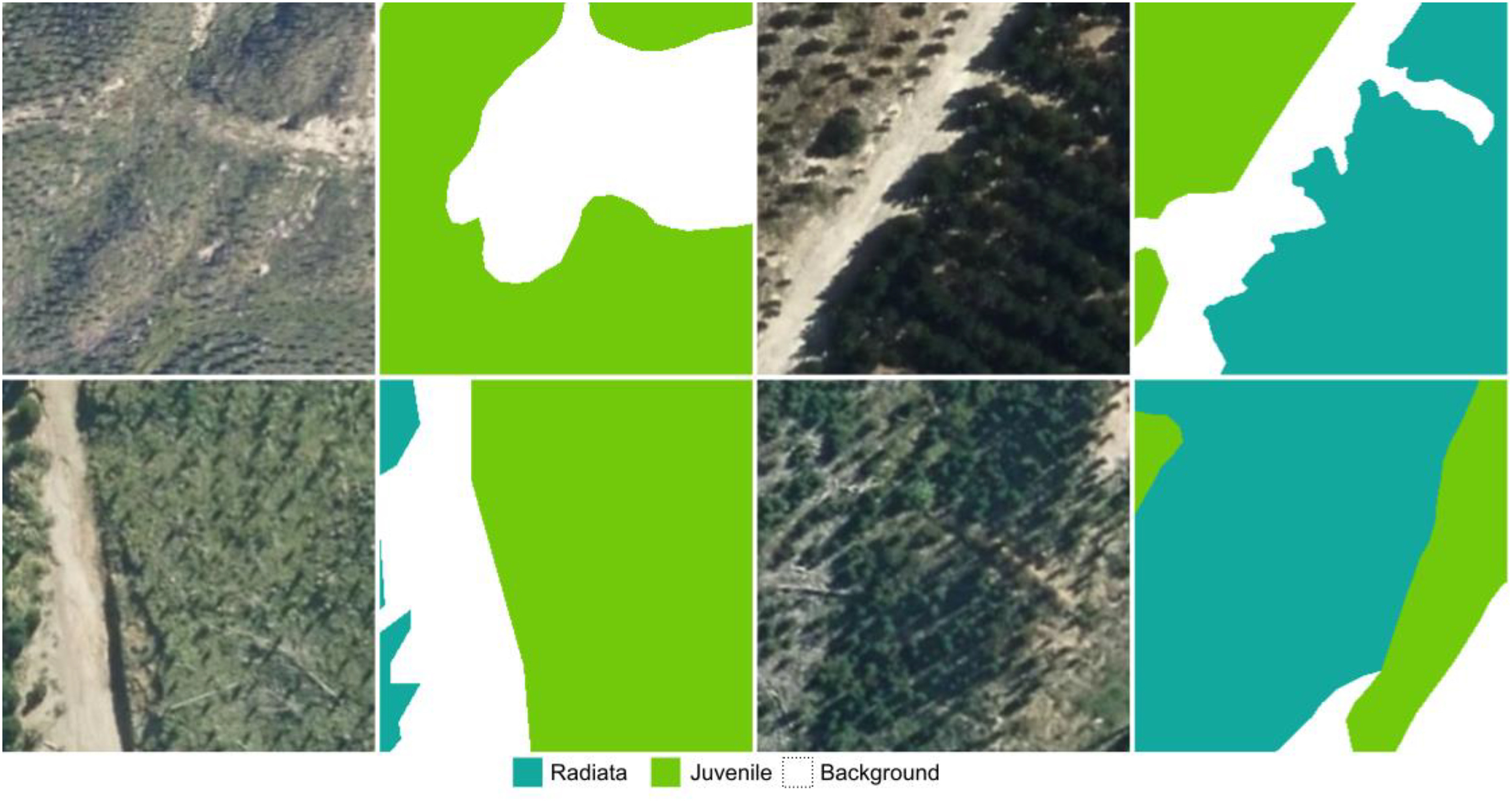 RS with LiDAR and aerial images