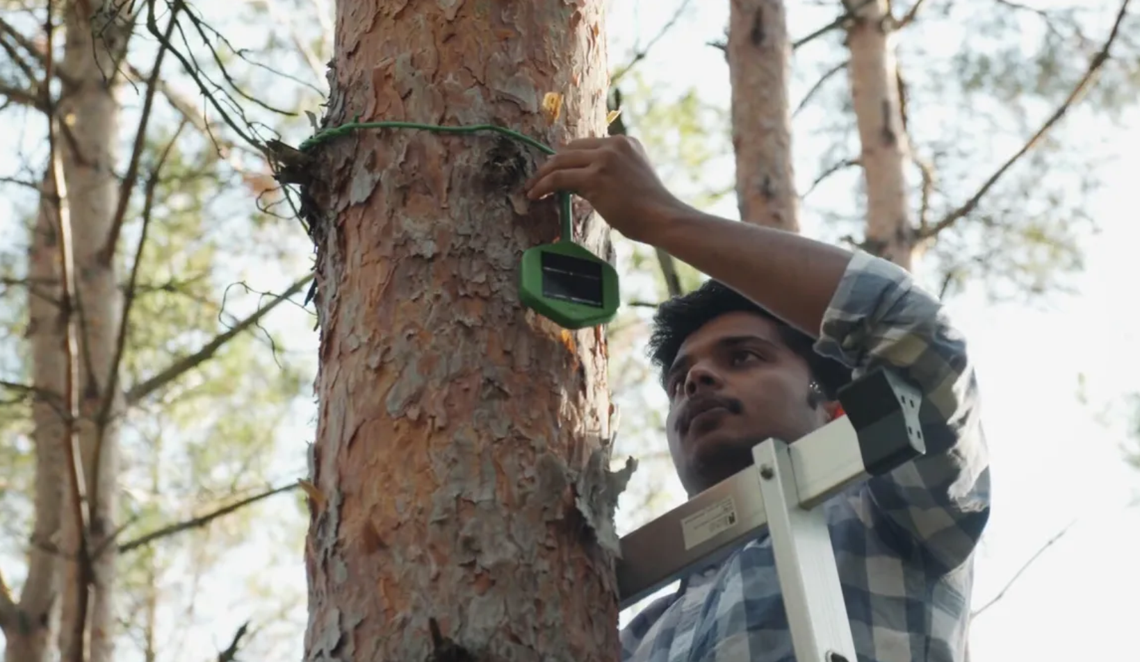 Silvanet Wildfire Sensors (Dryad Networks)