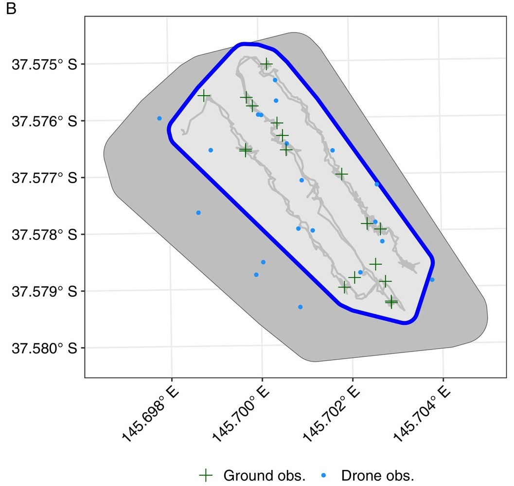 Thermal drone surveys to detect arboreal fauna: Improving population estimates and threatened species monitoring