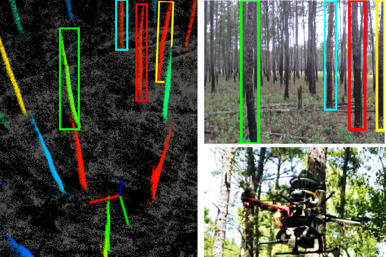 Tree diameter estimation using UAV and SLOAM