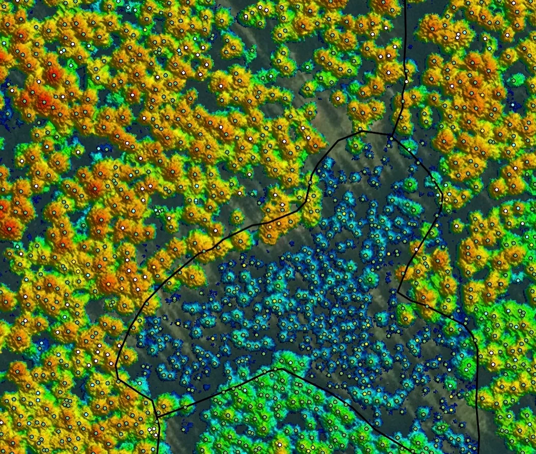 FieldGeo forest inventory services