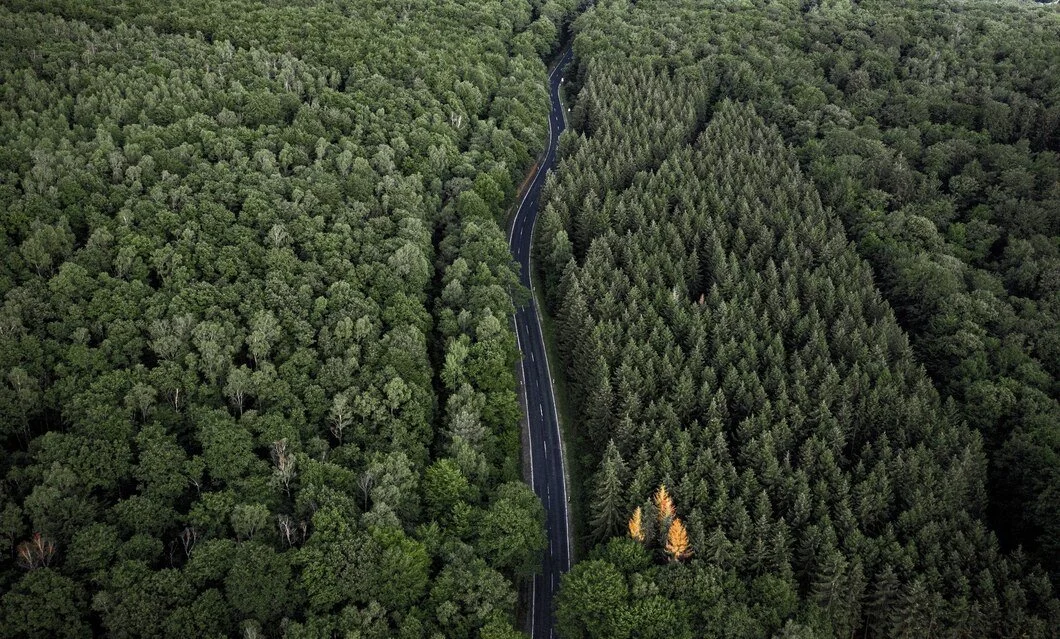 UAVs for forest fire monitoring & prevention
