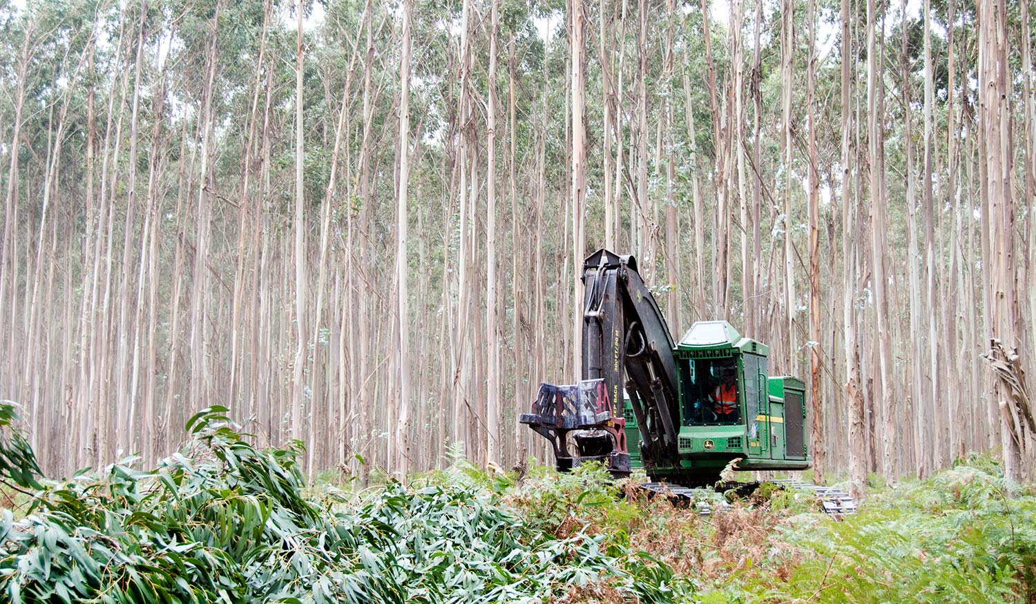 Harvesting & Extraction
