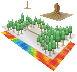 iLand - free research software for digital forest twins