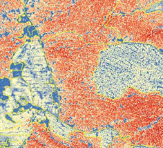 Scion & Interpine case study of using LiDAR data over five years