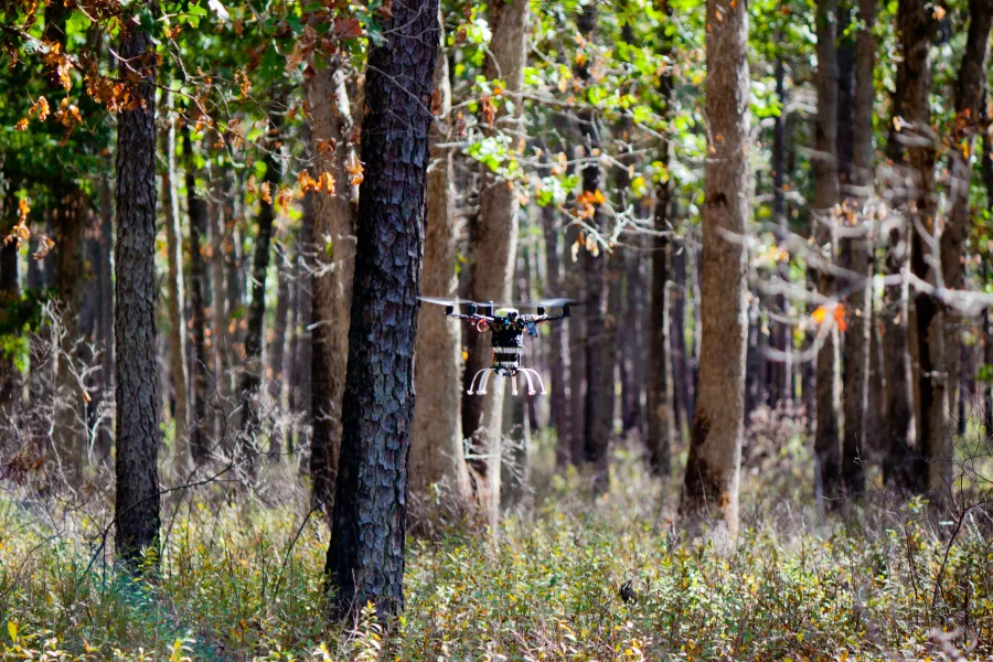 Autonomous UAV swarms in forestry