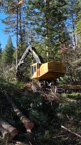 Tigercat steep-slope machines