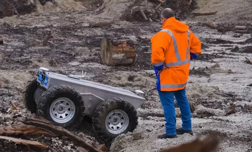 AI-powered robots for forestry navigation/track maintenance