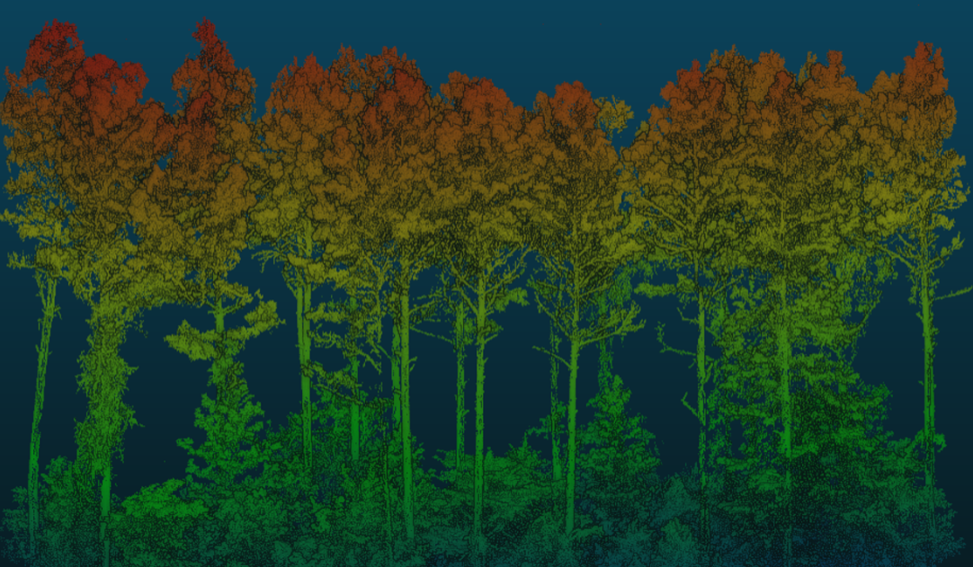 Northwest Management forest inventory services