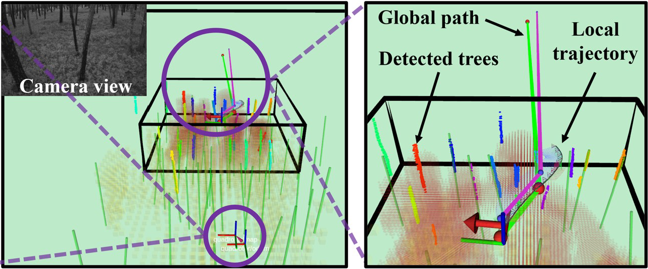 UAV navigation in dense forests