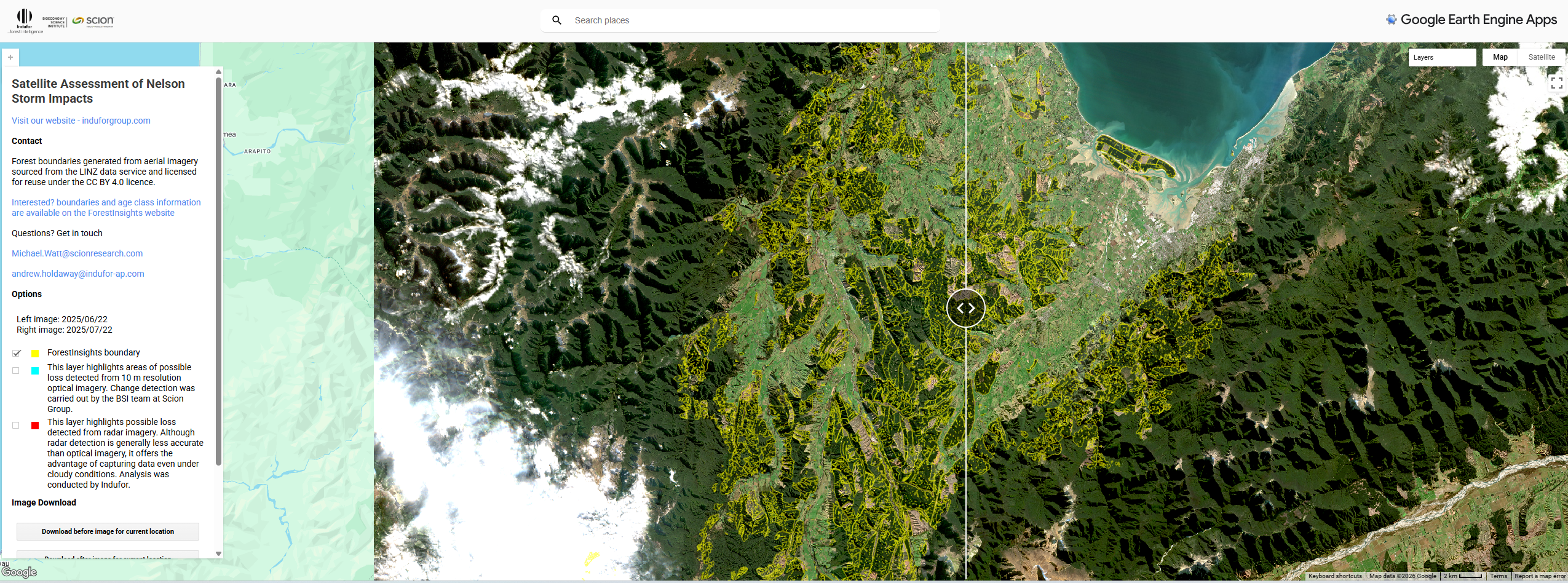 AI tool to assess forest damage
