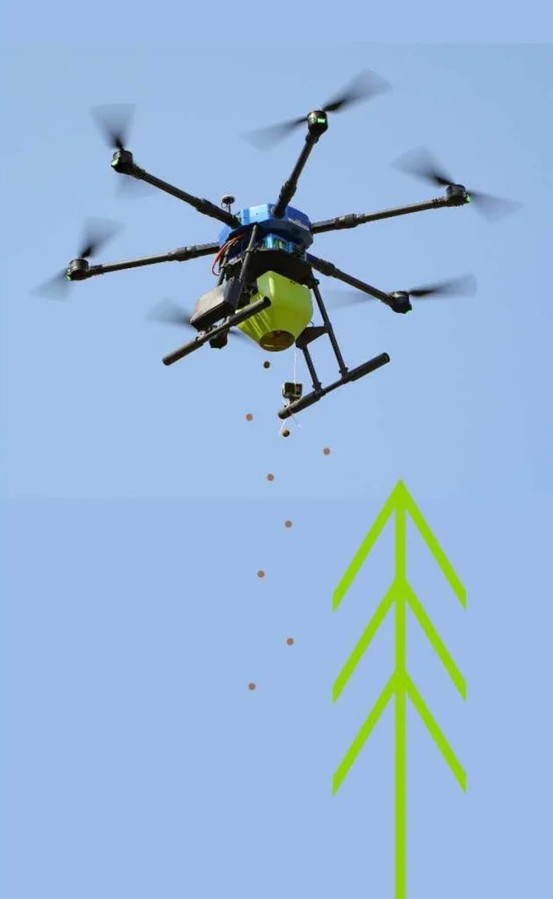 Seedcopter UAV-based forest seeding for revegetation