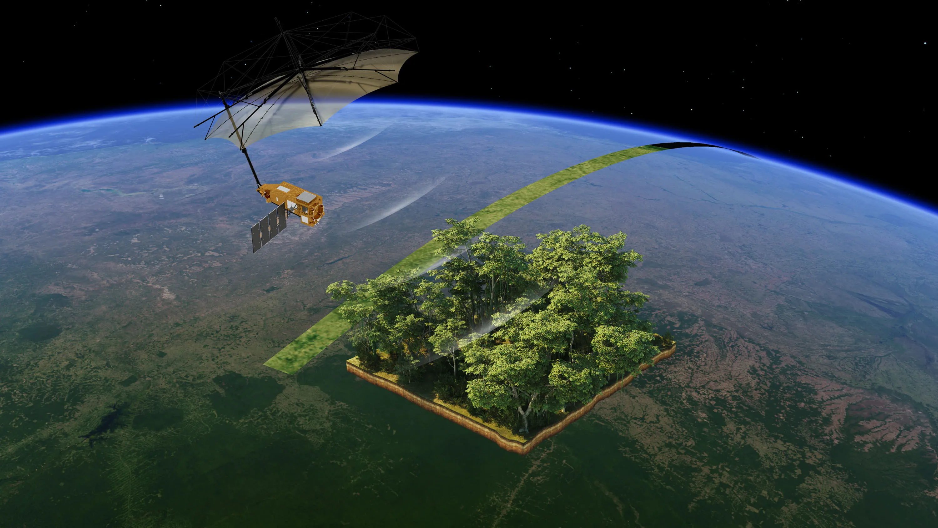 UAV's for forest inventory & biomass estimation