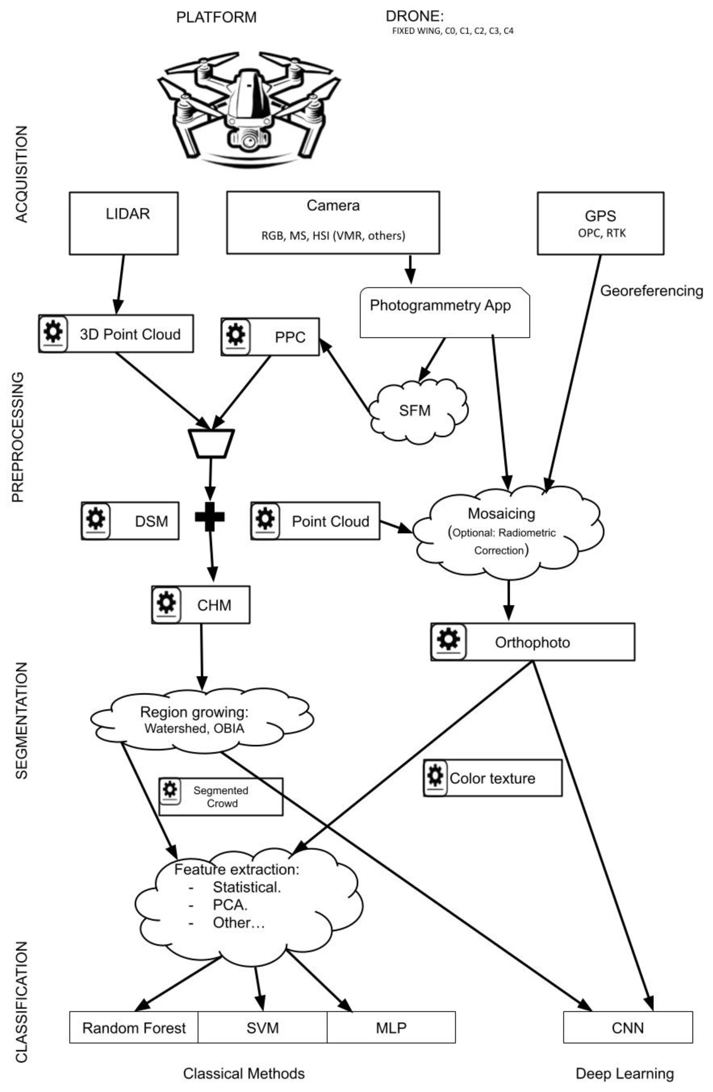 Paper reviewing advances in the automated identification of tree species