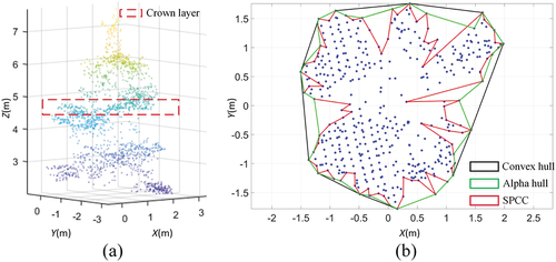 Calculating the volume of a single tree crown based on laser point cloud so forestry production & operation can be improved