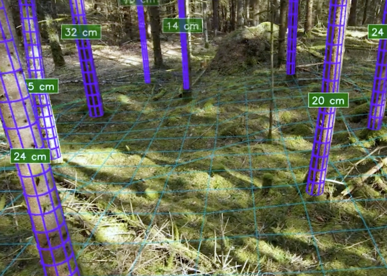 KATAM digital services for forestry